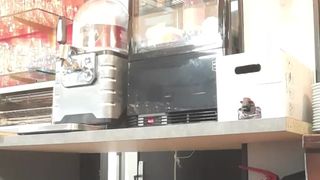 Liliesoft webcam show 2019-12-21_09-32-21_351