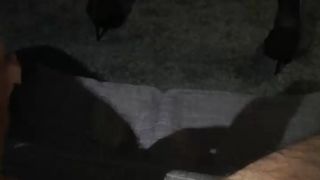 Redvelvetcpa webcam show 2019-12-29_23-31-09_862