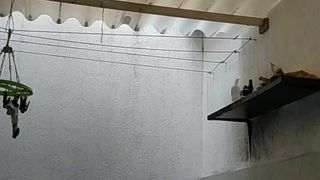 True_vega webcam show 2019-12-29_16-57-13_735