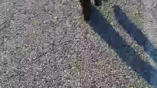 Intrigante66 webcam show 2020-01-05_15-10-52_224