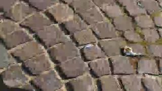 Intrigante66 webcam show 2020-01-01_11-55-07_787