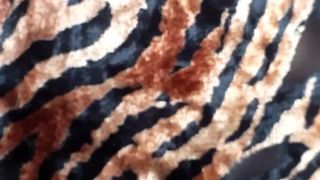 Leonessafree webcam show 2020-01-12_15-44-56_337