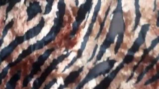 Leonessafree webcam show 2020-01-12_15-44-56_337