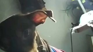 True_vega webcam show 2019-12-29_14-37-47_794