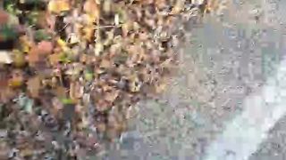 Intrigante66 webcam show 2020-01-05_14-53-37_593