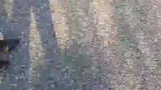 Intrigante66 webcam show 2020-01-05_14-53-37_593