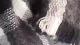 Leonessafree webcam show 2020-01-10_10-08-42_453