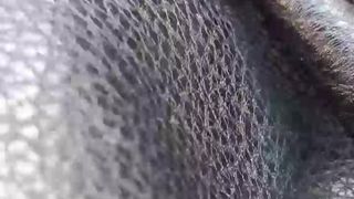 Leonessafree webcam show 2020-01-10_10-08-42_453