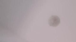 Pocellina81 webcam show 2020-01-10_15-16-31_080