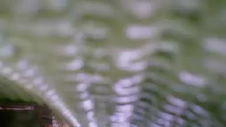 Only_blowjob webcam show 2020-01-12_11-57-54_049