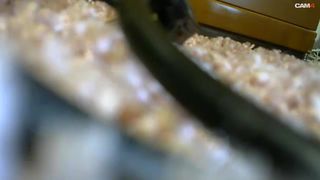 Sexjeux webcam show 2020-01-03_09-23-38_571