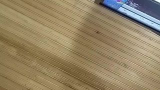 True_vega webcam show 2020-01-02_17-30-58_613