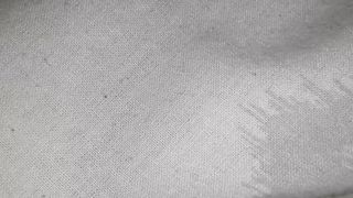 Yasminayangel webcam show 2020-01-05_08-39-21_531