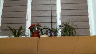 Have_funnn webcam show 2020-01-11_20-16-20_538