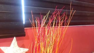 Sasxha webcam show 2020-01-10_17-06-27_623