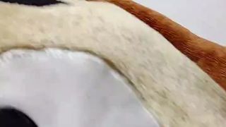 _arixxx_ webcam show 2020-01-07_04-42-42_649