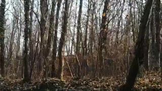 Vamapa webcam show 2020-01-06_13-27-27_817