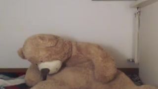 SunBunny_ MFC