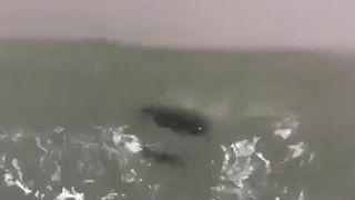 sekazgirl coolmood shower