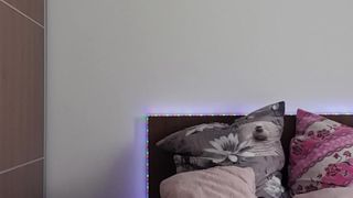 Msgiulia webcam show 2020-01-21_12-21-12_836