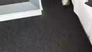 Intrigante66 webcam show 2020-01-18_12-14-03_449