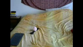 Sexjeux webcam show 2020-01-23_10-05-11_410