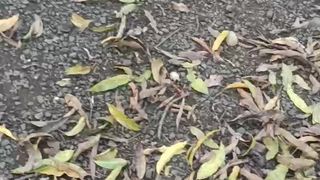 Sunnygray webcam show 2020-01-23_21-39-27_352