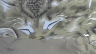 Misslilooo webcam show 2020-01-20_22-07-05_283