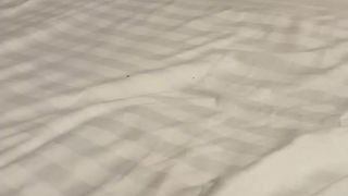 Intrigante66 webcam show 2020-01-19_17-44-55_997