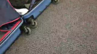 Intrigante66 webcam show 2020-01-18_00-00-28_147