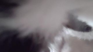 _arixxx_ webcam show 2020-01-19_23-54-34_982