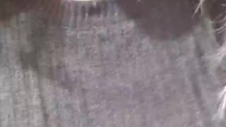 Dzintars_fun webcam show 2020-01-21_11-35-06_041