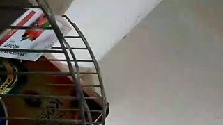 Kellypurple webcam show 2020-01-24_14-17-47_249