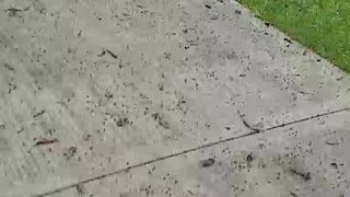 Sunnygray webcam show 2020-01-23_19-53-05_883