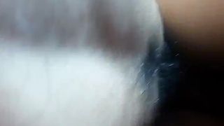 Cocodrilo252 Argentina cam4