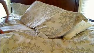 Misssexyvixen / Sexyvixen MFC 2