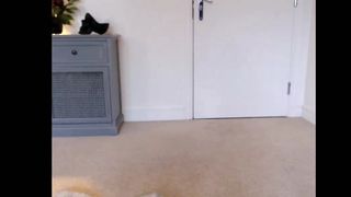 peachees 2020-01-31 PART 2