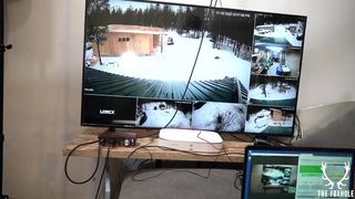 blondefox_silverfox_2020-01-22 2