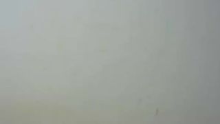 Ninfadosex 2016-11-27_05-00-35