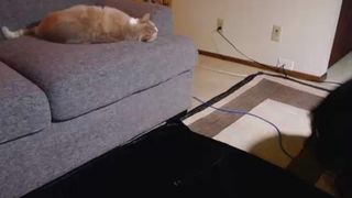 jaxtastic, blonde, tats, fingering, hitachi