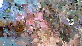 along_came_polly_2020-02-01_12-14-34_048