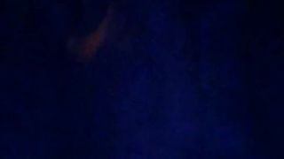 Kitten-Babe mfc Briana Marie Parks Kingston TN