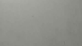 Natashasex4 webcam show 2020-02-05_03-08-16_982