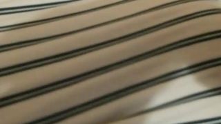 Tigerkittybabe webcam show 2020-01-27_15-00-20_343