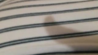 Tigerkittybabe webcam show 2020-01-27_15-00-20_343