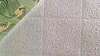 Kellypurple webcam show 2020-02-08_12-12-57_652