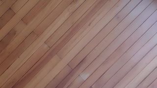 Metalrou webcam show 2020-02-02_21-23-22_939