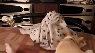 Cplnatsti webcam show 2020-01-26_22-54-58_676