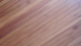 Metalrou webcam show 2020-02-03_20-37-08_965