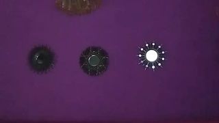 True_vega webcam show 2020-02-11_18-50-20_836